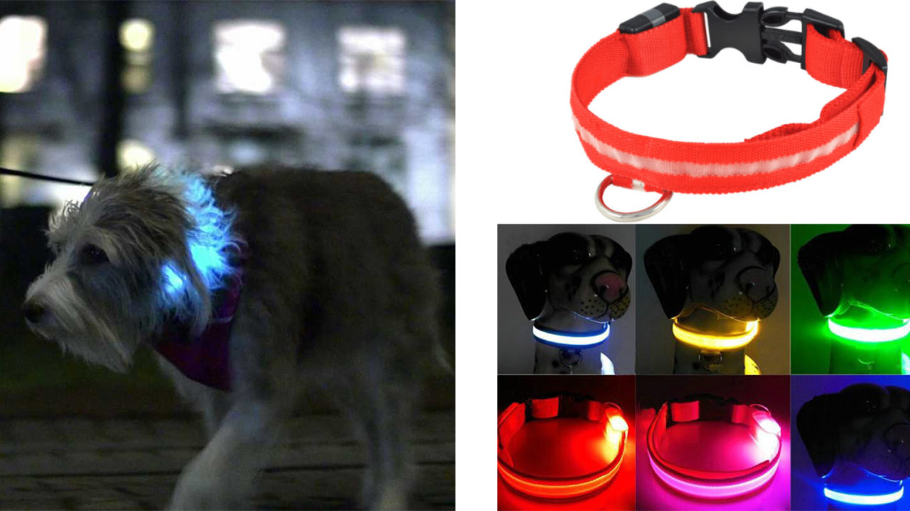 Ricaricabile Tramite USB Regolabile KABB Collare LED per Cani Luminoso Collare per Cani – Taglia Unica Adatta a Tutti Impermeabile per la Sicurezza di Notte Verde 