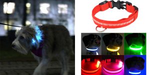 Collare SafeLight con luce LED per Cani: funziona davvero? Recensioni, Opinioni e dove acquistarlo