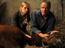 La mia buona stella: in onda Lunedì 31 Dicembre 2018 su Canale 5, cast, trama e orario