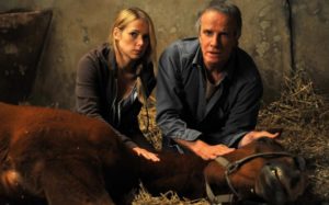 La mia buona stella: in onda Lunedì 31 Dicembre 2018 su Canale 5, cast, trama e orario