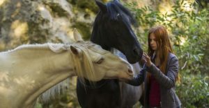 Windstrom Contro ogni regola: in onda Mercoledì 28 Agosto 2019 su Canale 5, cast, trama e orario