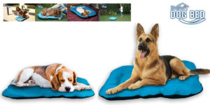 Dog Bed: lettino morbido per cani e gatti con rivestimento antibatterico, funziona davvero? Caratteristiche, opinioni e dove comprarlo