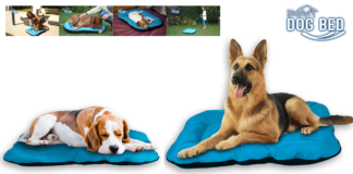 Dog Bed: lettino morbido per cani e gatti con rivestimento antibatterico, funziona davvero? Caratteristiche, opinioni e dove comprarlo