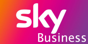 Sky Business: che cos’è, come funziona, come abbonarsi, come disattivare e quanto costa l’abbonamento