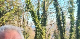 Paolo Notari biografia: chi è, età, altezza, peso, figli, moglie, Instagram e vita privata