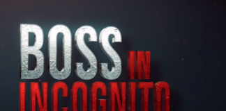 Boss in Incognito: che cos’è, come funziona, come scrivere per partecipare, orari tv e streaming