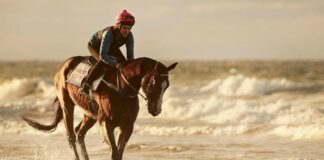 La Campionessa: in onda Lunedì 30 Agosto 2021 su Canale 5, cast, trama e orario
