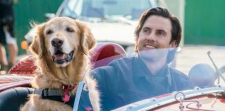 Attraverso i miei occhi: in onda Martedì 31 Ottobre 2023 su Canale 5, cast, trama e orario