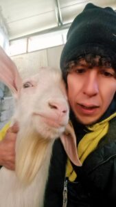 Saverio Riccelli (capra Manuele) biografia: chi è, età, altezza, peso, capre, fidanzata, Instagram, Tik Tok e vita privata