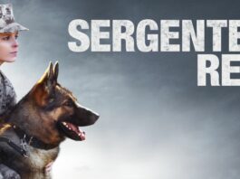 Sergente Rex: in onda Domenica 25 Giugno 2023 su Canale 5, cast, trama e orario