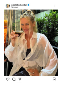 Nicollette Sheridan biografia: chi è, età, altezza, peso, figli, marito, carriera, Instagram e vita privata