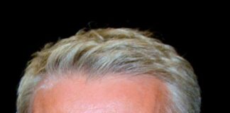 Lambert Wilson biografia: chi è, età, altezza, peso, figli, moglie, carriera, Instagram e vita privata