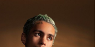 Dominic Fike biografia: chi è, età, altezza, peso, fidanzata, carriera, Instagram e vita privata