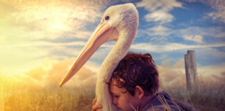 Storm Boy - Il ragazzo che sapeva volare: in onda Lunedì 1 Maggio 2023 su Canale 5, cast, trama e orario