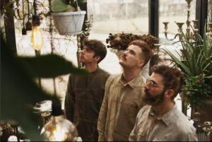 Wisdom Tree biografia: chi sono, componenti, da dove vengono, canzoni, album, Instagram e YouTube