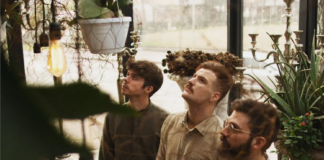 Wisdom Tree biografia: chi sono, componenti, da dove vengono, canzoni, album, Instagram e YouTube