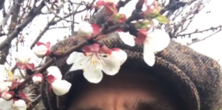 Giovanni Calcagno biografia: chi è, età, altezza, peso, figli, moglie, carriera, Instagram e vita privata