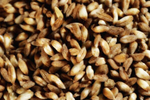 Come Cuocere e Condire il Farro per Piatti Squisitamente Sani e buoni