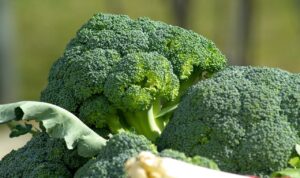 Come Pulire, Conservare e Cucinare i Broccoli: Benefici, Ricette e Consigli