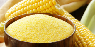 Come fare la Polenta: ricetta, tipi, ingredienti, procedimento e consigli utili