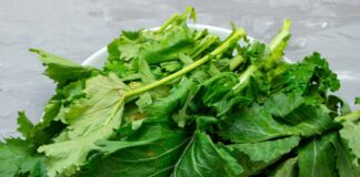 Come pulire e cucinare le Cime di Rapa: benefici, cottura, ricette e abbinamenti