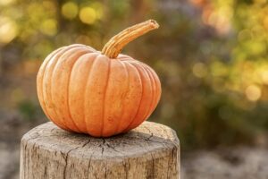 Come cucinare la zucca: ricette sfiziose e consigli