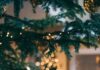 Chi ha Inventato l'Albero di Natale? Significato, Origini, Storia e Curiosità