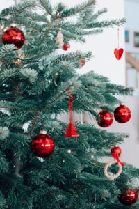 Perché l'albero di Natale si fa l' 8 Dicembre? Storia, origini, significato e tradizione