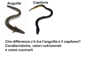 Che differenza c'è tra l'anguilla e il capitone? Caratteristiche, valori nutrizionali e come cucinarli