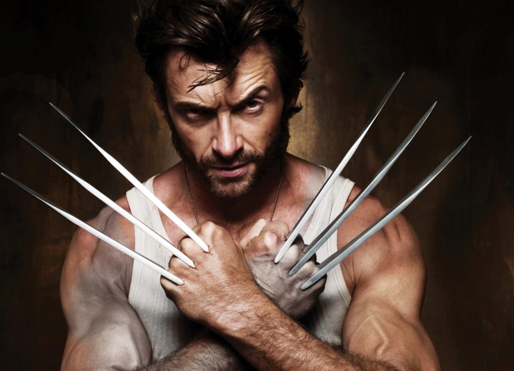 Chi è Wolverine? Storia, significato, dove è nato, cosa vuol dire il nome, quanti film sono e Chi è Wolverine? Storia, significato, dove è nato, cosa vuol dire il nome, quanti film sono e
