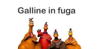 Galline in fuga: trama, cast, personaggi, significato, come si chiamano, ideatore e curiosità