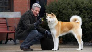 Hachiko - Il tuo migliore amico: trama, cast, personaggi, significato, dov’è ambientato e curiosità