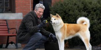Hachiko - Il tuo migliore amico: trama, cast, personaggi, significato, dov’è ambientato e curiosità