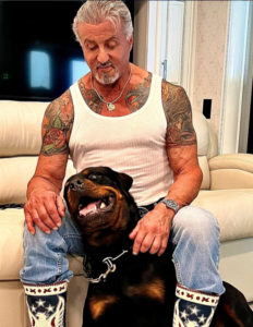 Quanti tatuaggi ha Sylvester Stallone? Significato, dove sono posizionati e curiosità