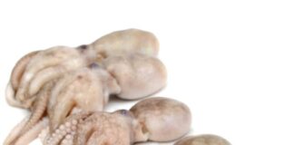 Come pulire e cucinare i Moscardini: ricette, consigli e guida pratica