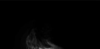 Oni (Alessio Calò) biografia: chi è età, altezza, peso, fidanzata, carriera, canzoni e vita privata