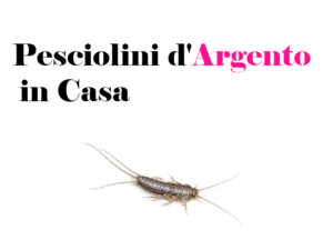 Pesciolini d'Argento in Casa: Cosa sono, cause, significato, come eliminarli e consigli