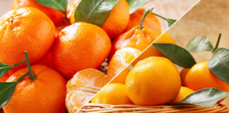 Che differenza c'è tra mandarino e clementine? Come riconoscerle, gusto, ricette e curiosità