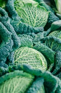 Come Pulire, Cucinare e Conservare la Verza: Consigli e Ricette