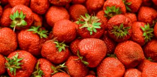 Come Pulire e Condire le Fragole: Consigli e Ricette Gustose