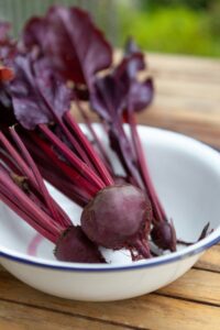 Barbabietola rossa che cos'è A cosa fa bene, cosa contiene, come mangiarla, ricette e curiosità Barbabietola rossa che cos'è? A cosa fa bene, cosa contiene, come mangiarla, ricette e curiosità