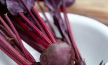 Barbabietola rossa che cos'è? A cosa fa bene, cosa contiene, come mangiarla, ricette e curiosità