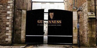 Chi era la Famiglia Guinness? Origini, Storia vera, Birra e Patrimonio