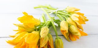 Come pulire, lavare e cucinare i Fiori di Zucca: guida completa