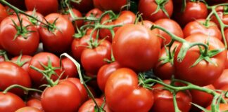 Come conservare i Pomodori: Guida Pratica per Mantenere la Freschezza e il Sapore