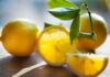 Come fare conserva di Limoni: cosa serve, come fare, consigli utili e guida