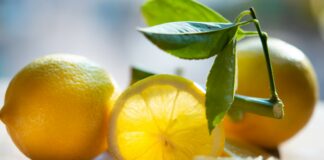 Come fare conserva di Limoni: cosa serve, come fare, consigli utili e guida