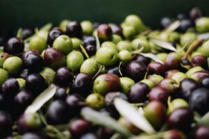 Come fare conserva di Olive Nere e Verdi: cosa serve, come fare, consigli utili e guida