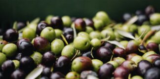 Come fare conserva di Olive Nere e Verdi: cosa serve, come fare, consigli utili e guida
