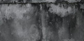 Guida Completa su Come Lavare e Stendere i Capi Bianchi Senza Scolorirli